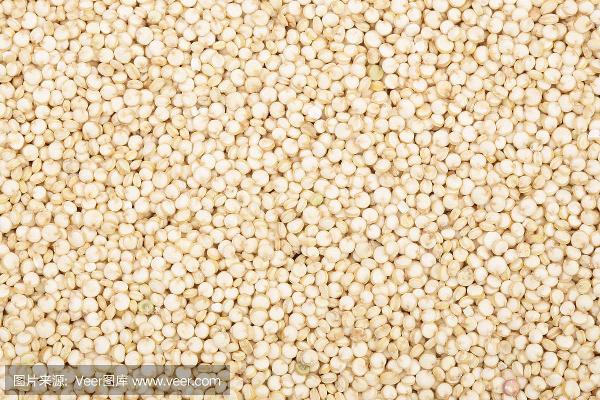白色藜麦种子作为背景。俯视图